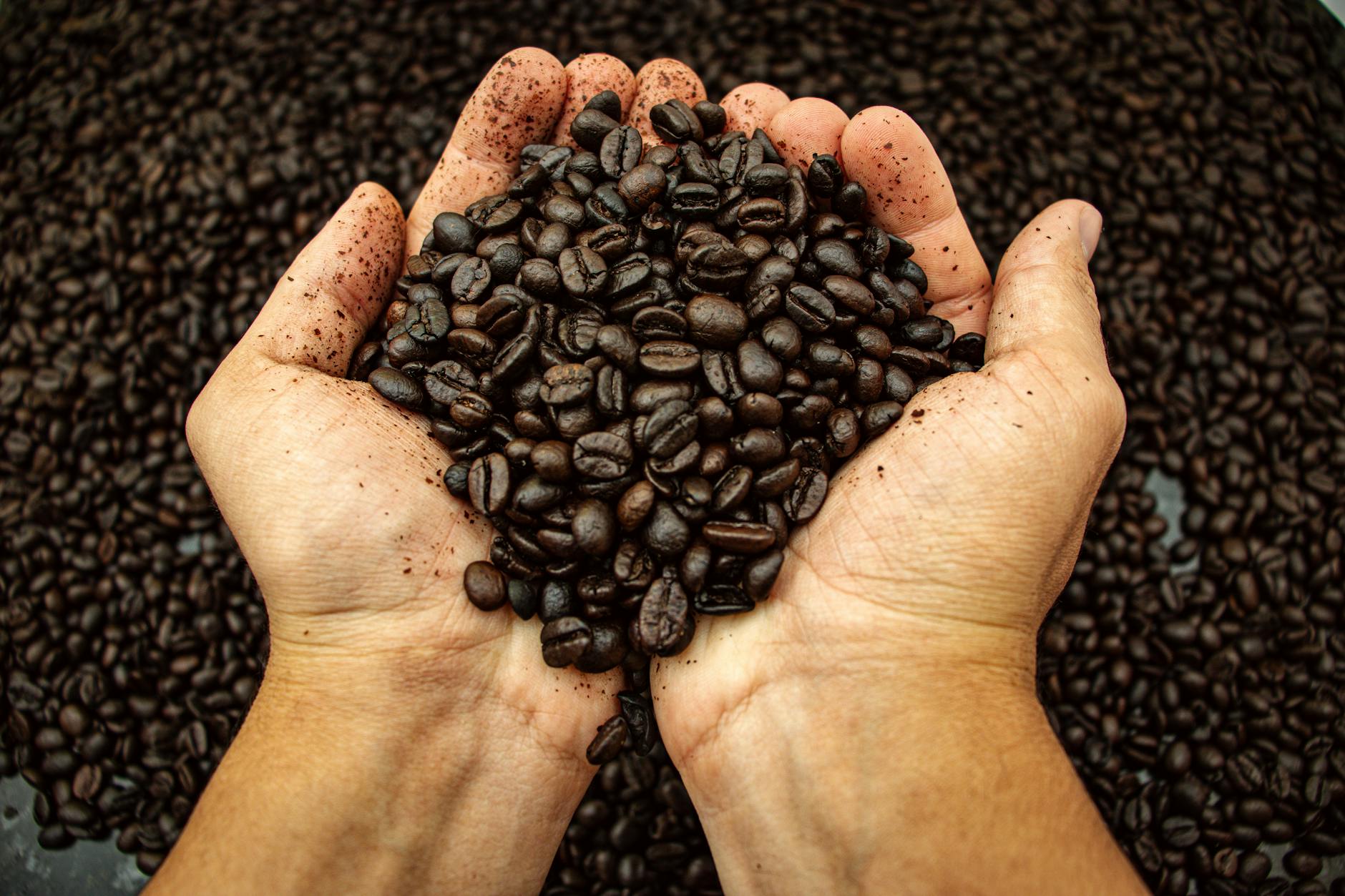 Kaffeerösterei Alt Wien — Bild 4